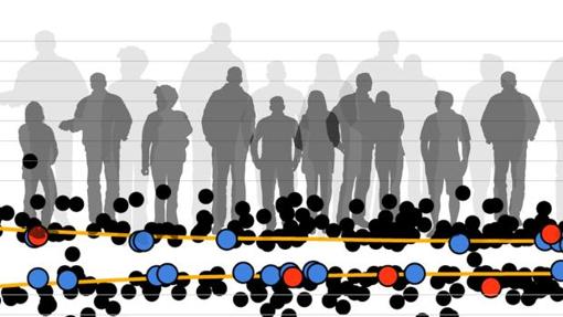 El estudio ha identificado 83 nuevas variantes genéticas que son raras pero que influyen mucho en la estatura