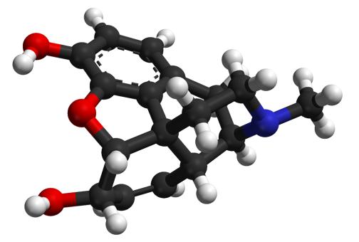 La morfina (en la imagen) es uno de los opioides exógenos más usados, por su efecto analgésico y sedativo