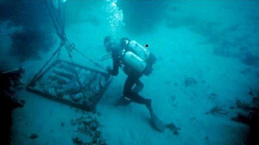 El pecio romano con el plomo fue hallado por un submarinista en 1988 en la costa de Cerdeña