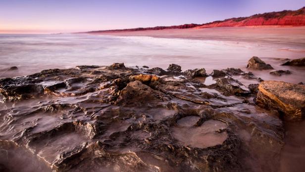 Huellas dejadadas por un dinosaurio de la especie «Walmadanyichus hunteri» en la zona del hallazgo