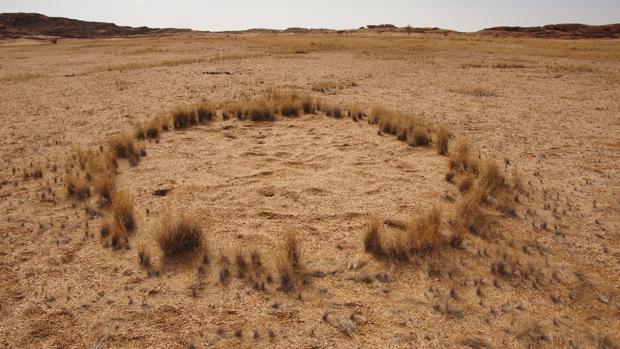 Un círculo de hadas en el desierto de Namibia.