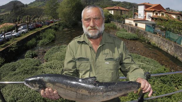 Alejandro Pérez , un experimentado pescador de Trelles (Coaña), con el "campanu" 2017, un salmón de 5,790 kilos y 79 centímetros que ha caputarado en el río EO y por el que el restaurante "As de Picas" de Gijón ha pagado un total de 9.500 euros