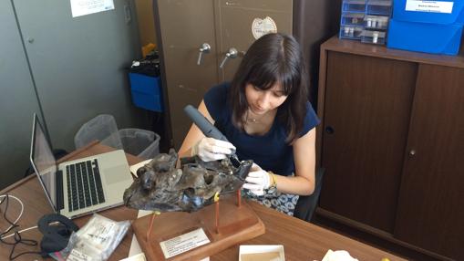 La geóloga Laura Domingo