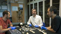 Los investigadores Antonio García-Tabernero, Antonio Rosas y Luis Ríos junto al esqueleto del estudio