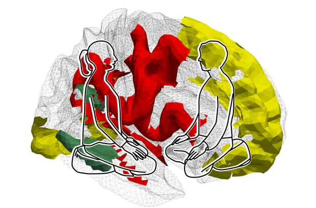 Meditación y cerebro humano