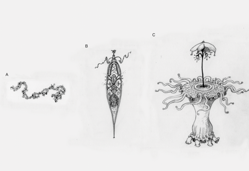 Estas ilustraciones representan diferentes niveles de complejidad adaptativa de supuestos alienígenas. (a) Una molécula de replicación simple, sin diseño aparente. Esto puede o no someterse a la selección natural. (b) Una entidad increíblemente simple, similar a una célula. Incluso algo así de simple tiene suficientes componentes que deben someterse a la selección natural. (c) Es probable que un extraterrestre con muchas partes intrincadas trabajando en conjunto haya experimentado transiciones importantes