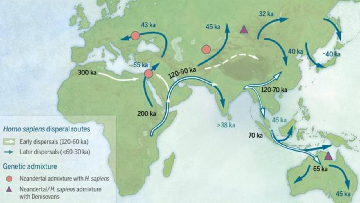 Movimientos de humanos modernos a finales del Pleistoceno. Estos humanos tuvieron descendencia con Denisovanos y Neandertales