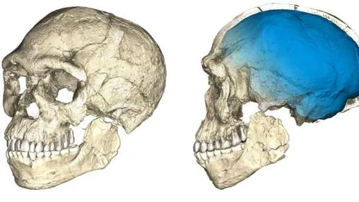 Reconstrucción del cráneo hallado en Jebel Irhoud, Marruecos