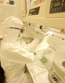 Trabajos de laboratorio con el material genético de los restos arqueológicos