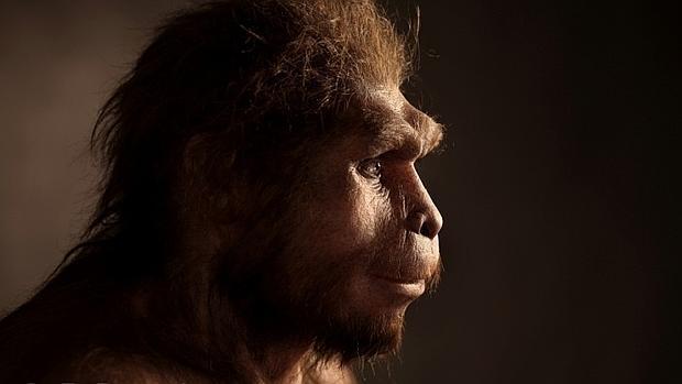 ¿Inventó el lenguaje el Homo erectus hace 1,9 millones de años?