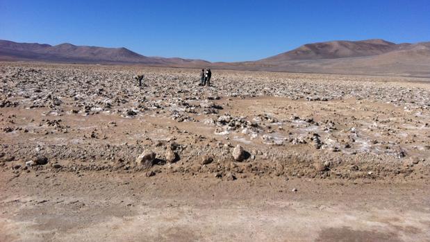 Hallan vida tras décadas sin agua en el desierto más seco del mundo
