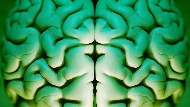 La nueva genética se adentra en los orígenes de la inteligencia humana