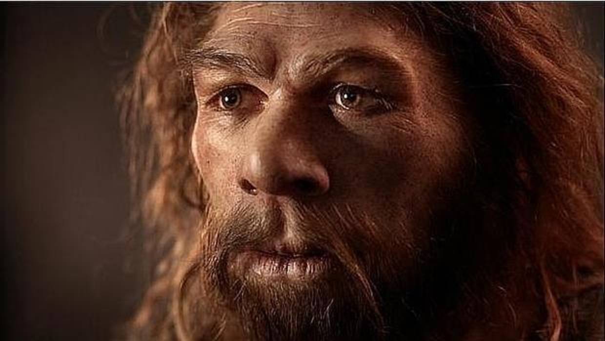 Los neandertales desapar