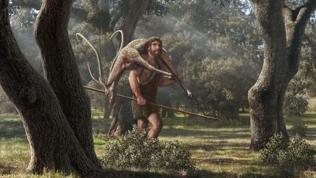 Los neandertales cazaban con lanza, a corta distancia y en grupo