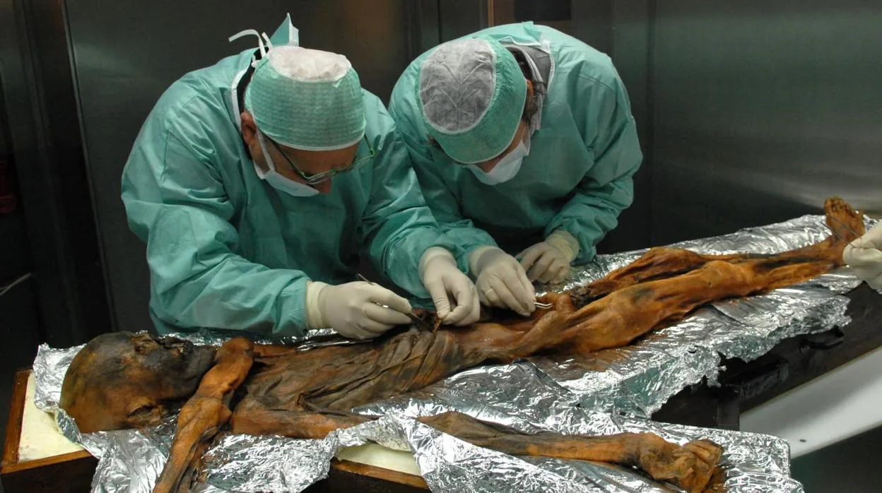 Investigadores toman muestras del contenido estomacal de la momia