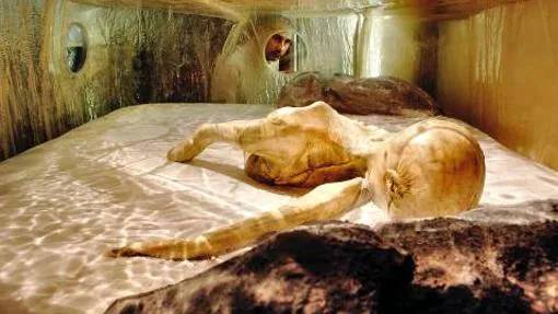 Exhibición sobre Ötzi