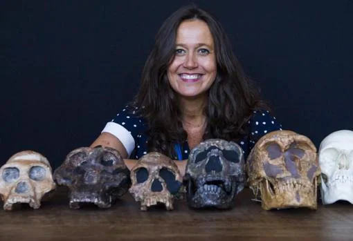 María Martinón-Torres junto a los cráneos de distintos tipos de homínido