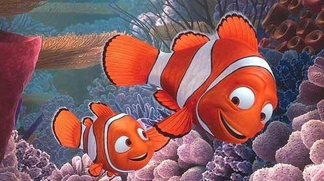 Fotograma de la película «Buscando a Nemo»