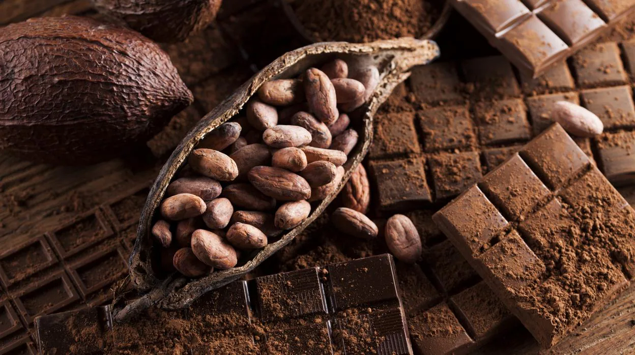 El chocolate proviene del árbol del cacao