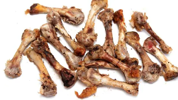 Introducir 56+ imagen fotos de huesos de pollo