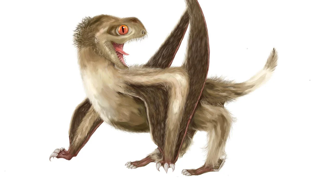 El pterosaurio de Daohugou con cuatro tipos de plumas sobre su cabeza, cuello, cuerpo y alas, de un color marrón jengibre