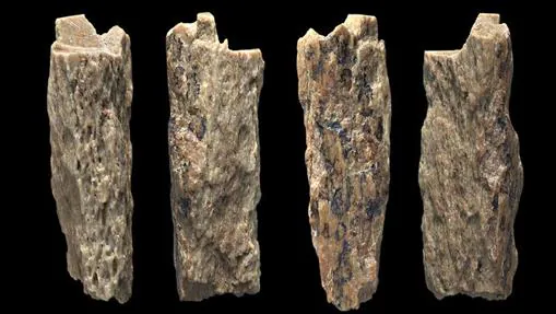 Los investigadores extrajeron ADN antiguo de un fragmento de hueso