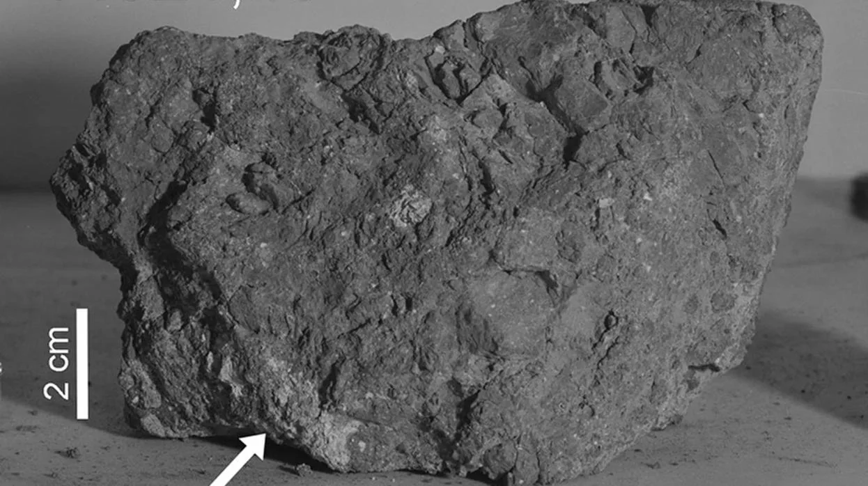 Esta roca, traída por los astronautas en 1971, podría contener un pequeño fragmento de la Tierra primitiva
