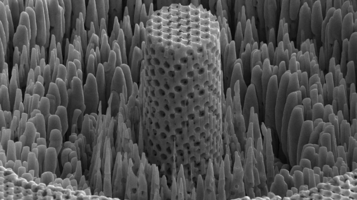 Una muestra microscópica de la «madera metálica»