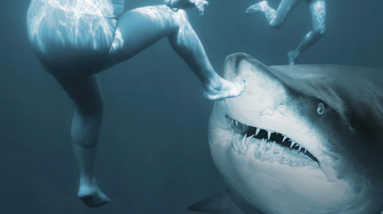 Recreación de unos bañistas nadando cerca de un tiburón