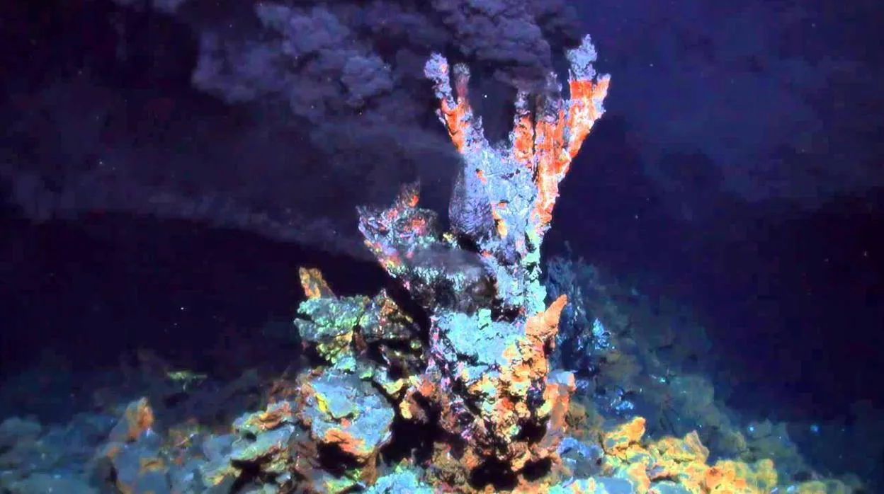Una fuente hidrotermal de donde se cree pudo surgir la vida hace 4.000 millones de años
