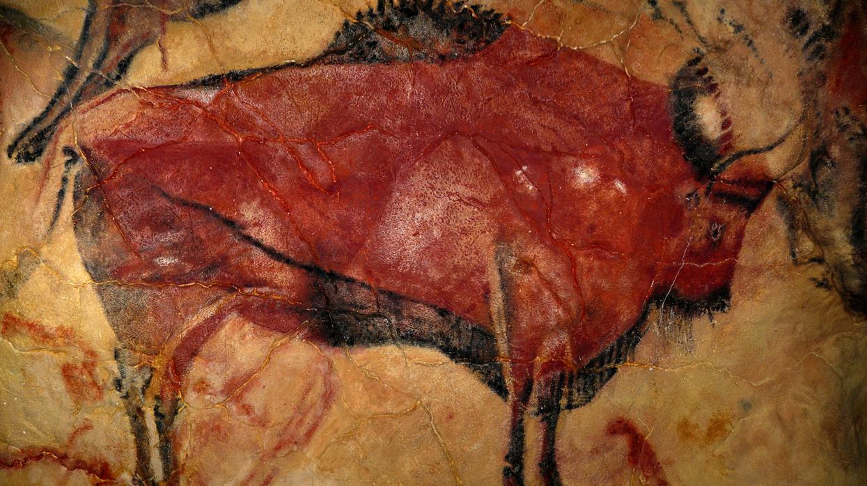 Bisonte en la cueva de Altamira, en Santillana del Mar, Cantabria, ocupada desde hace 35.600 años hasta hace 13.000