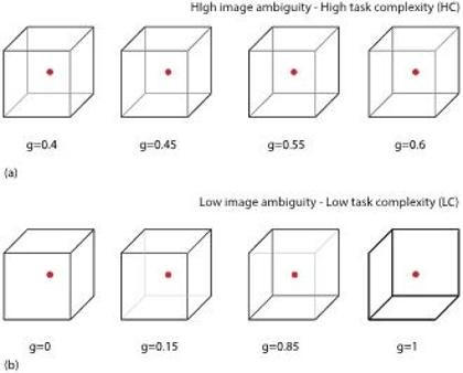 Juego complete de estímulos visuales: (a) cubos de Necker con alto grado de ambigüedad, las tareas de alta complejidad y (b) cubos con de bajo grado de ambigüedad, las tareas de baja complejidad