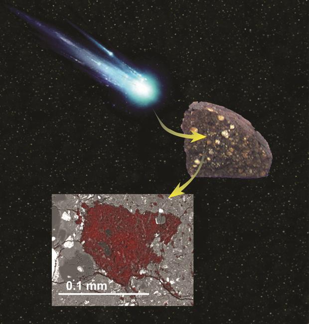 Sorpresa nunca vista dentro de un meteorito hallado en la Antártida