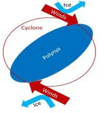 El impacto de los vientos ciclónicos en la deriva del hielo marino creando un área libre de hielo cerca del centro del ciclón, empujando el hielo en direcciones divergentes a su alrededor.