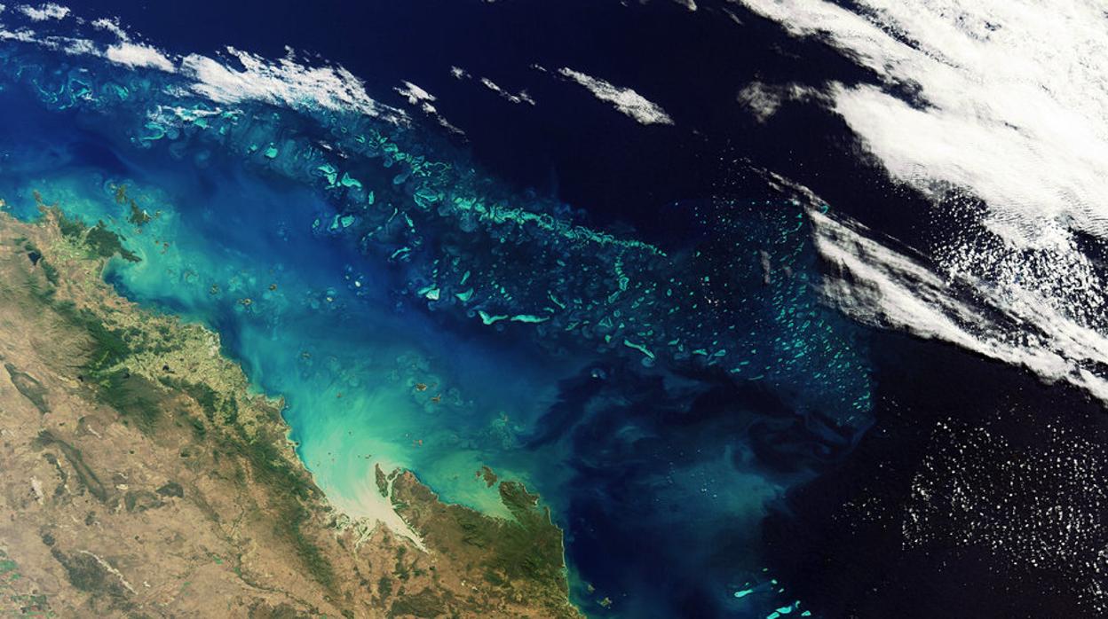 Fotografía del océano tomada desde el espacio. Los investigadores han comparado datos actuales con información obtenida en testigos de sedimentos sobre el plancton de hace más de 170 años