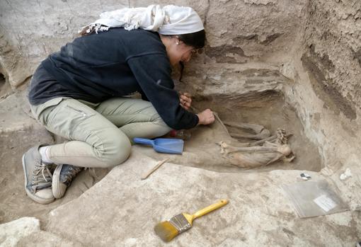 Excavación de un esqueleto adulto en Çatalhöyük