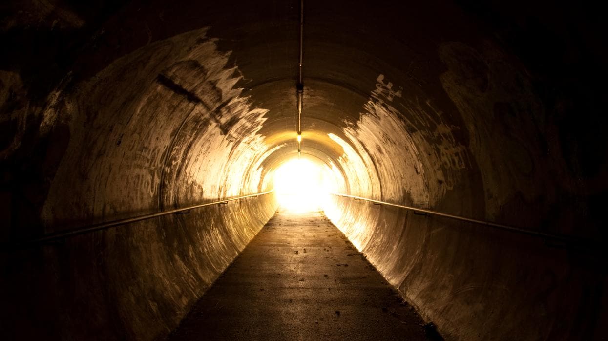¿Es la luz al final del túnel un simple fallo del cerebro?