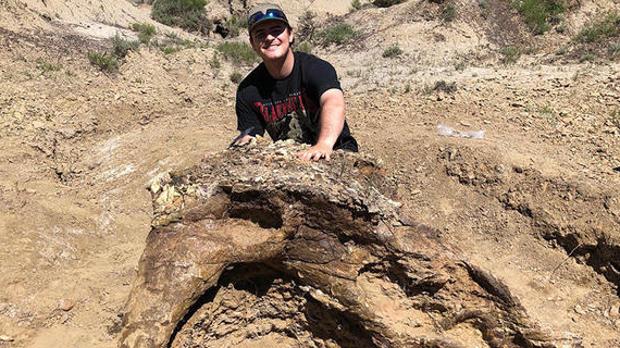 Un universitario encuentra un cráneo de Triceratops de la extinción masiva del Cretácico