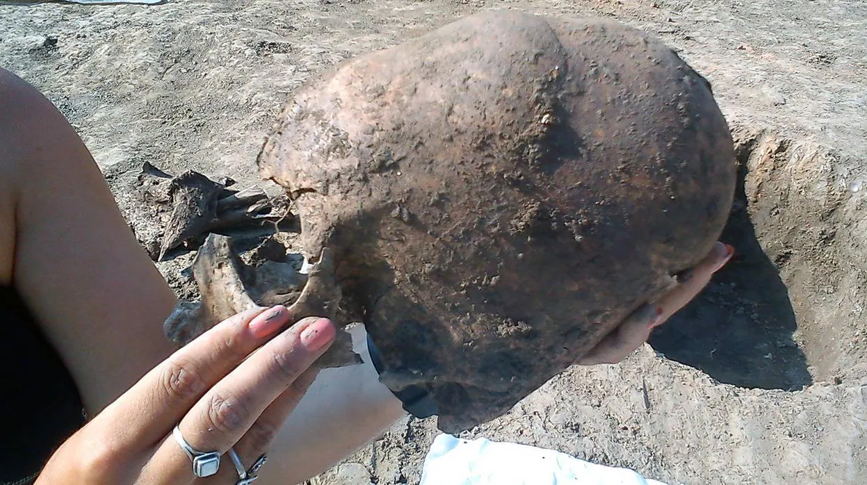 Cráneos alargado encontrado en la tumba de Croacia
