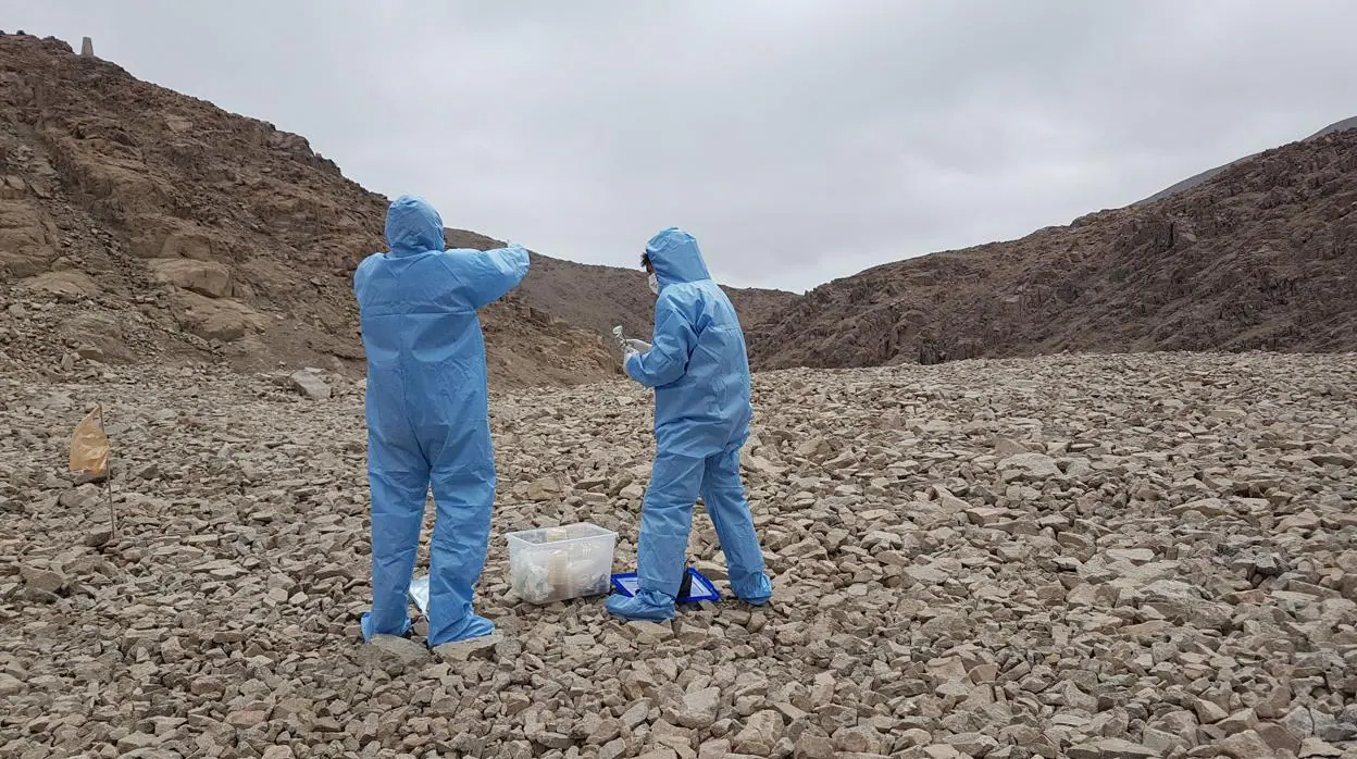 Dos investigadores recogen muestras en el desierto de Atacama. El hallazgo implica que en Marte también podrían sobrevivir microbios y ser transportados por el viento