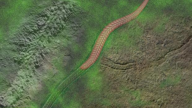 El moribundo que abrió el primer camino sobre la Tierra