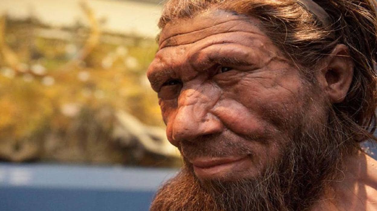Reconstrucción de un neandertal en el Museo de Historia Natural de Londres