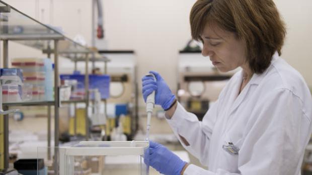 Científicos que investigan el cáncer denuncian un recorte en ciencia encubierto por el Gobierno