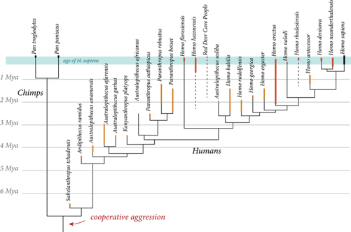 La evolución humana