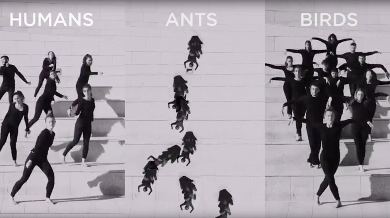 La forma más extraordinaria de explicar una tesis doctoral