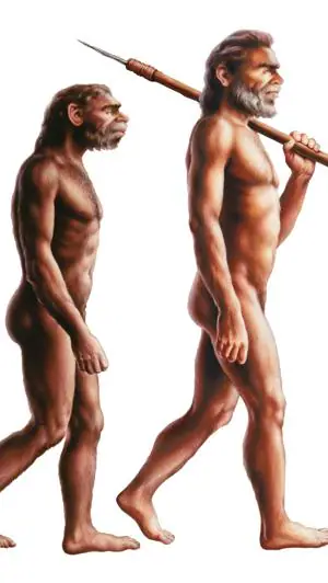 Por qué la clásica ilustración de la evolución del mono al hombre está  totalmente equivocada