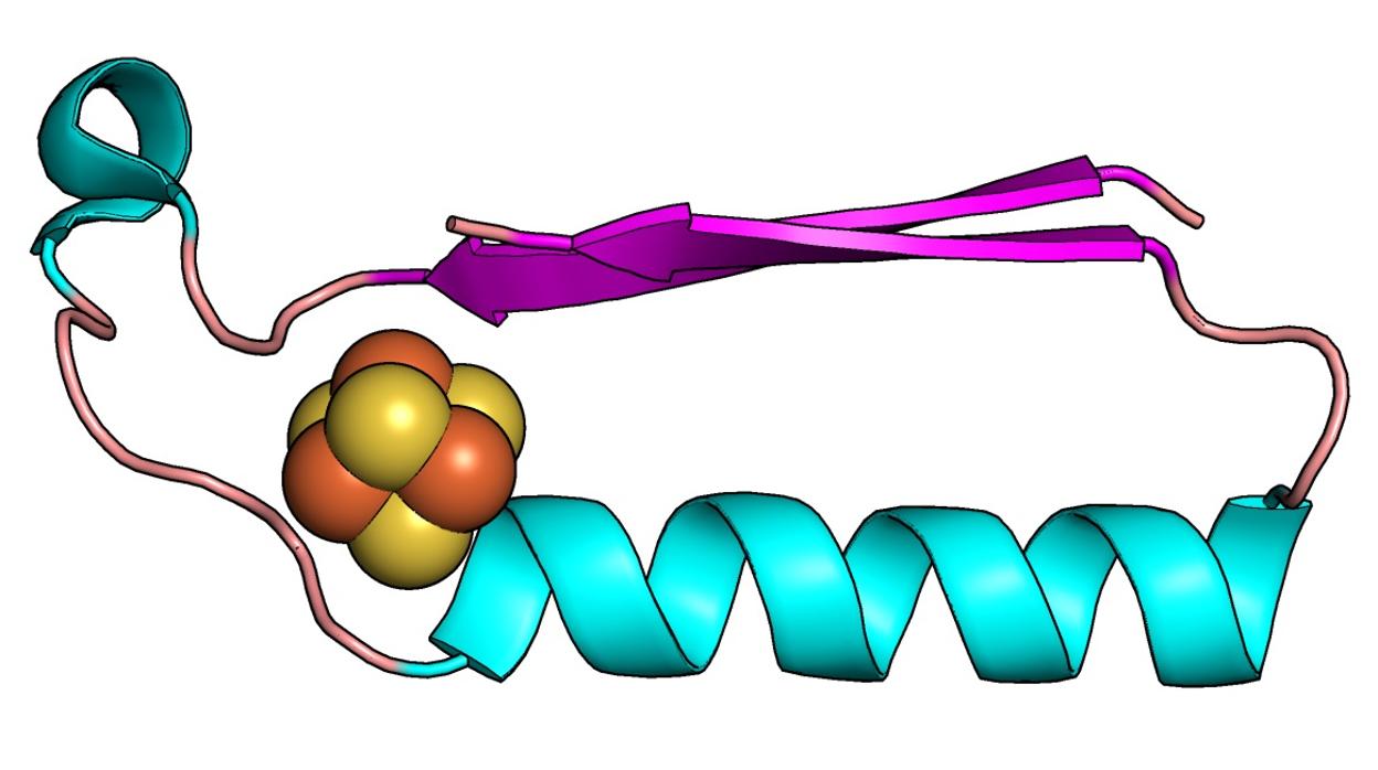 Posible estructura de una de las primeras proteínas en la evolución del metabolismo