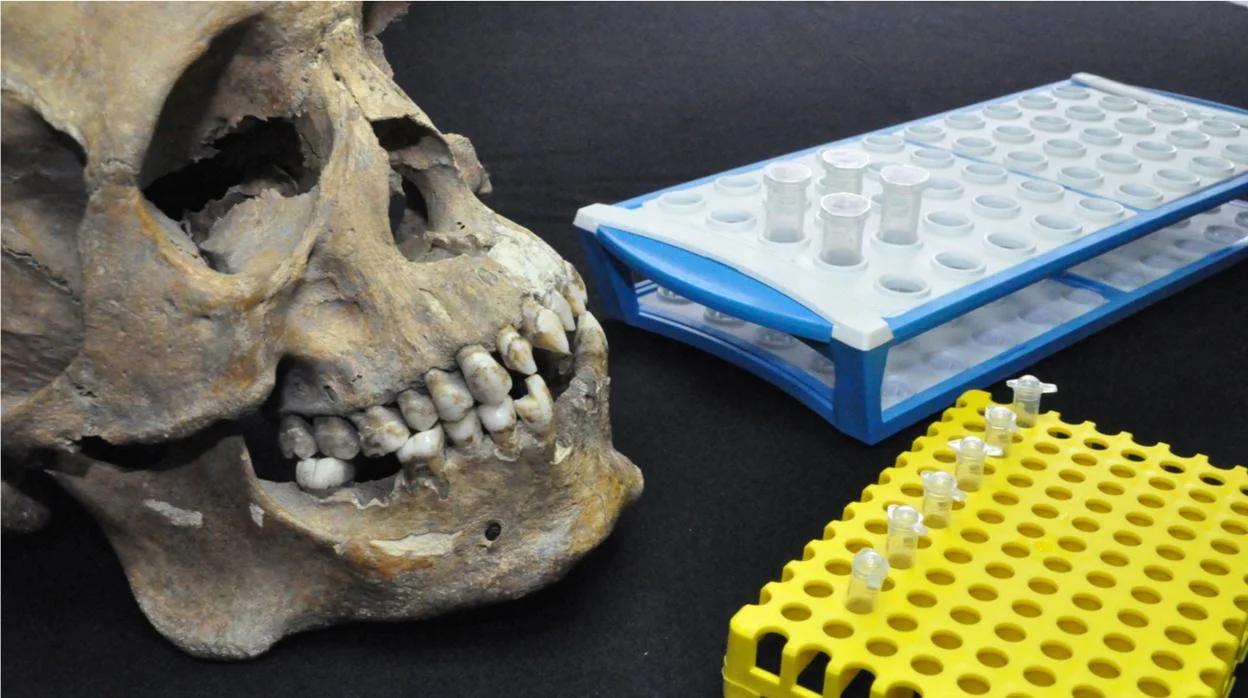 Esta imagen muestra el cráneo de uno de los individuos estudiados junto con tubos para pruebas genéticas y de isótopos