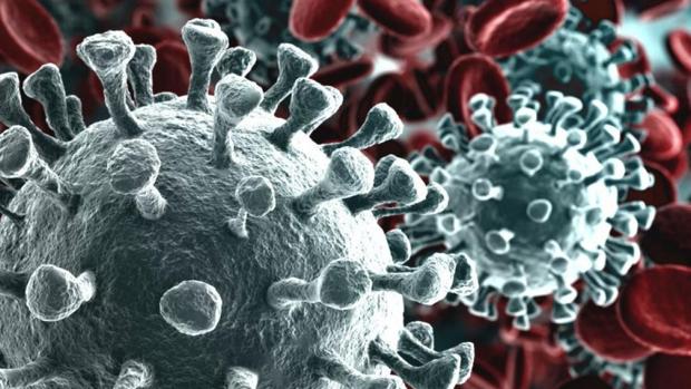 Agria polémica científica sobre la existencia en Europa de una cepa más contagiosa del coronavirus