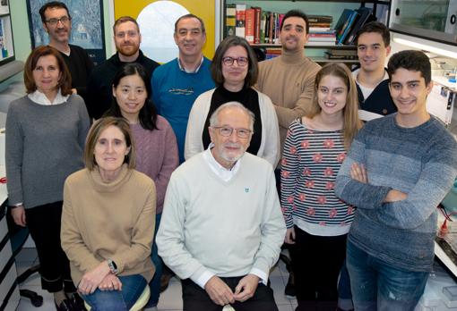 El grupo de Luis Enjuanes e Isabel Sola en 2020, en el Centro Nacional de Biotecnología (CNB-CSIC)
